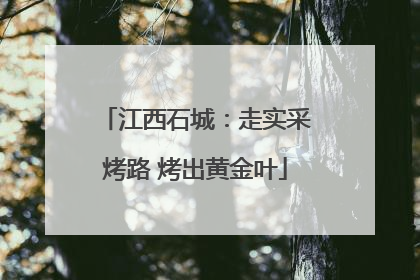 江西石城：走实采烤路 烤出黄金叶